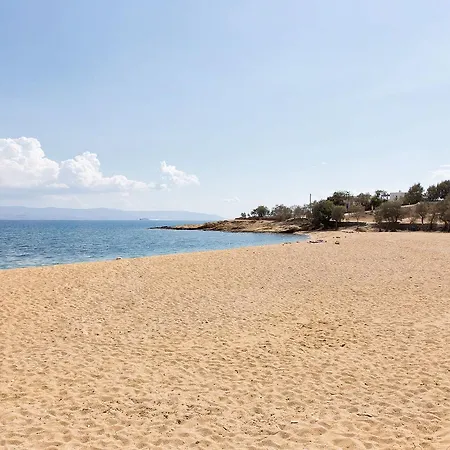 San Dimitrio House On The * 로갈라스