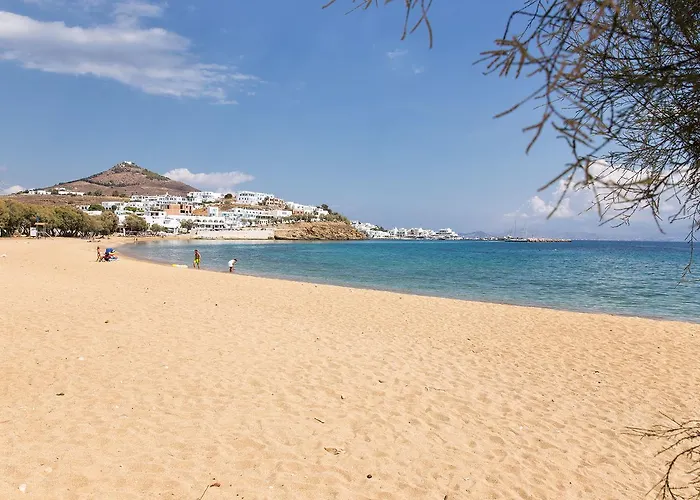 فيلة San Dimitrio House On The لوغاراس